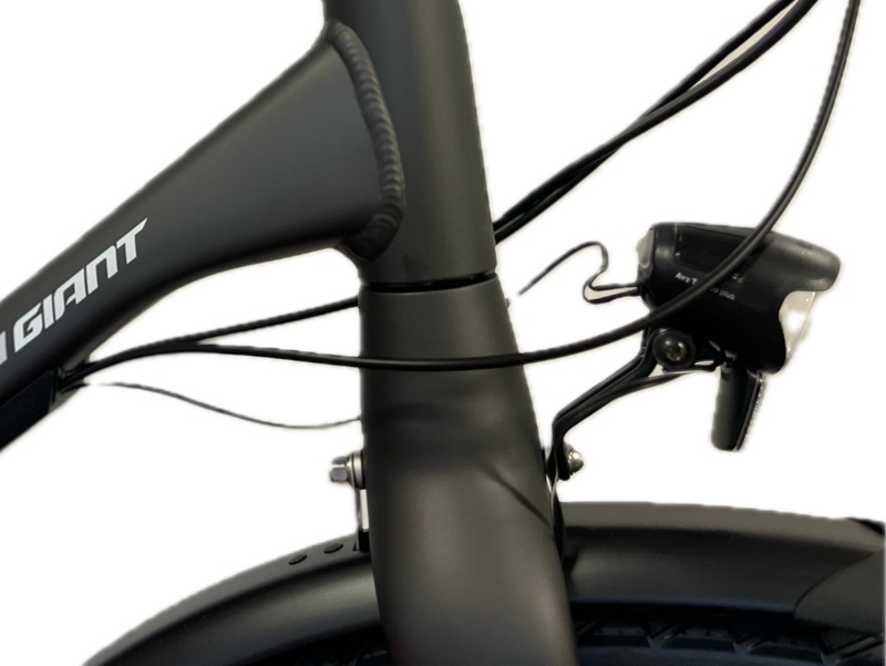 Giant-anytour-cs2-beltdrive-fiets