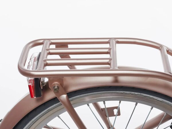 clubb-alpina-kinderfiets-22-inch-roze