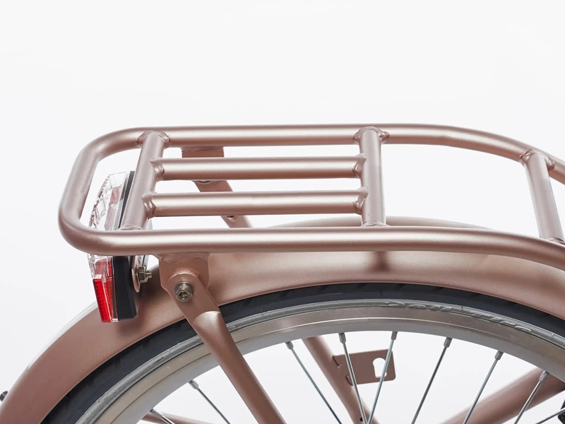 clubb-alpina-kinderfiets-22-inch-roze