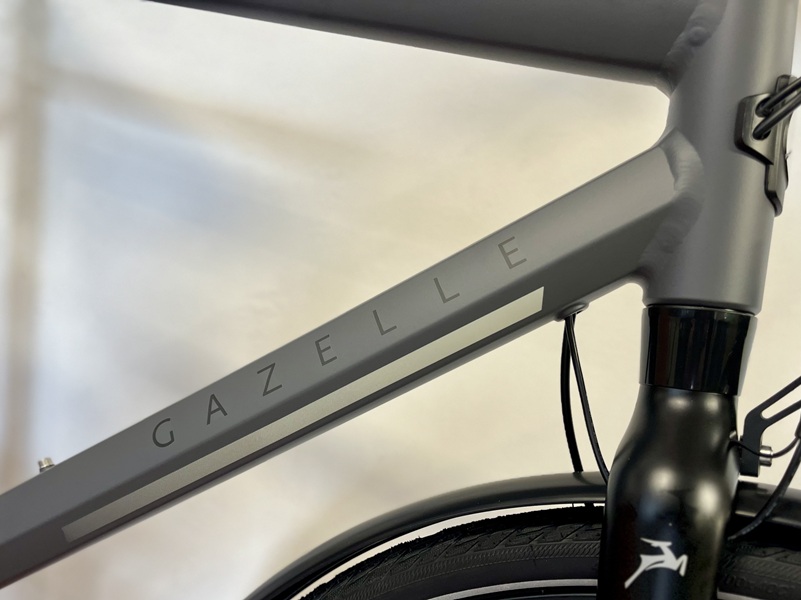 Chamonix-s11-heren-gazelle