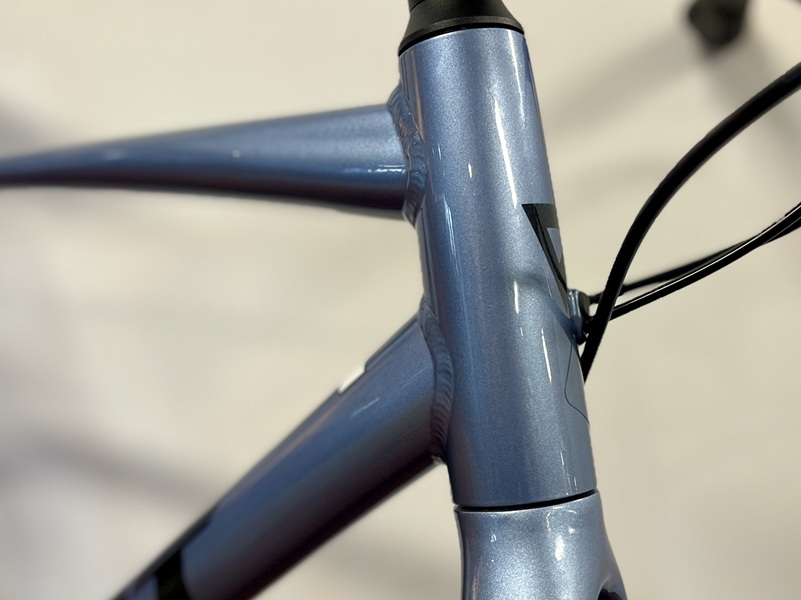 Giant-escape-sportfiets-forest