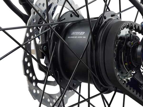 Giant-newtour-desert-sage