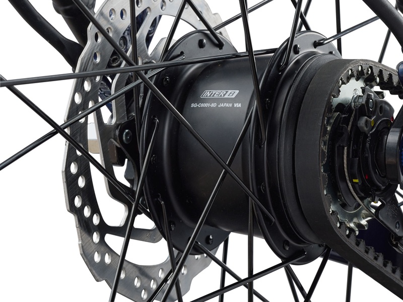 Giant-newtour-desert-sage