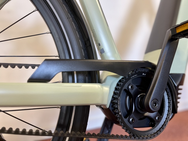 Newtour-giant-E+1-sage