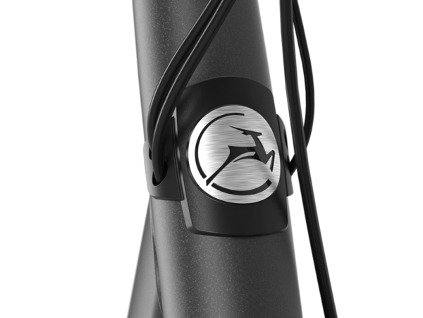 Paris-gazelle-elektrische-fiets