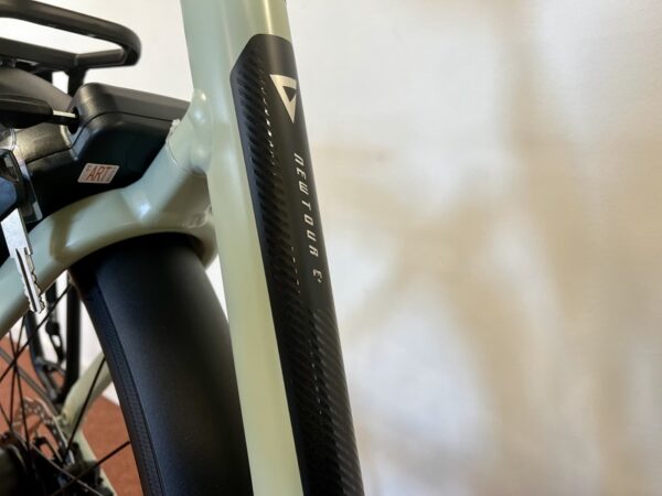 desert-sage-giant-newtour