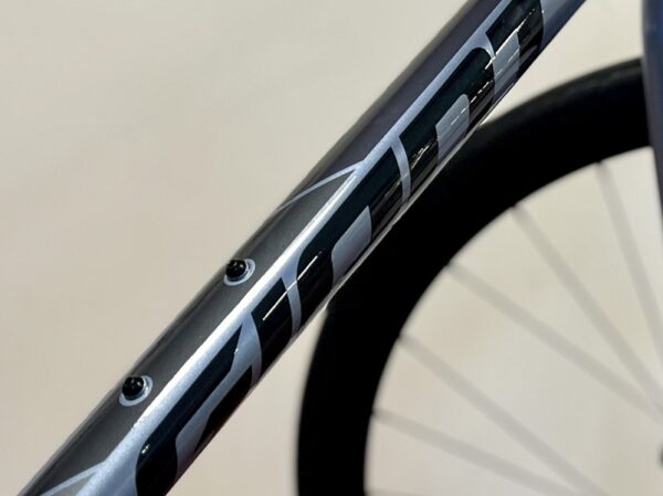 escape-Giant-forest-silver