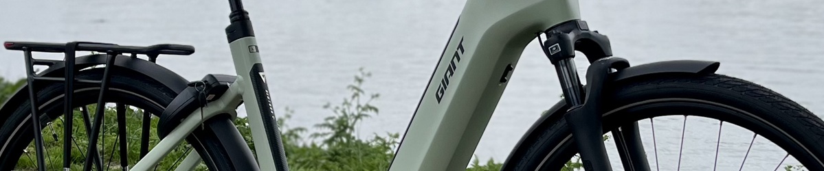 Giant-Newtour-E+-beoordeling