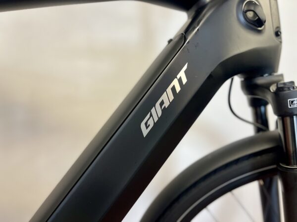 Newtour-Giant-Cold-night