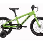 Bianchi-16xr-kinderfiets-groen-16-inch