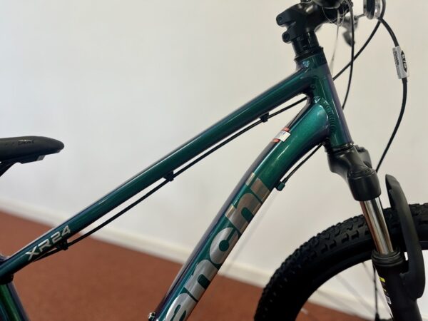 XR24-Bianchi-kinderfiets-mountainbike