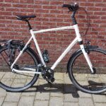Koga Venya 6 Alfine 8 Belt 66cm Wit