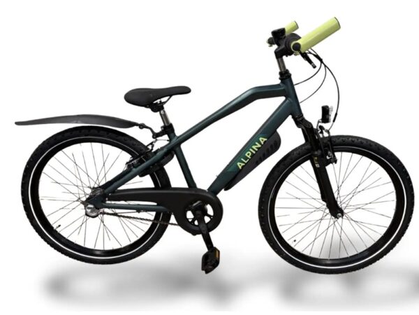 26-inch-alpina-trial