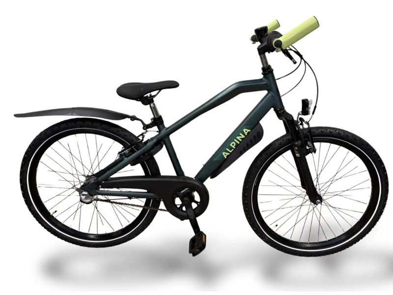 Alpina Trial 26 Inch Pine Green Matte