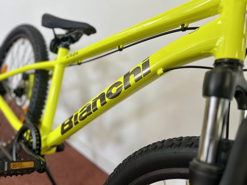 Acid-yellow-full-glossy-bianchi-mountainbike