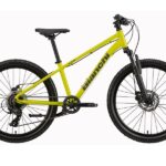 Bianchi-xr24-acid-yellow