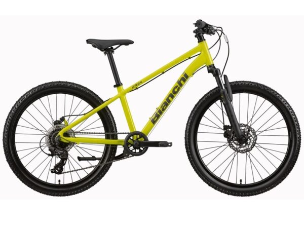 Bianchi-xr24-acid-yellow