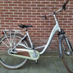 Curtis damesfiets N7 50cm Grijs