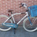 Gazelle Worker N3 H54 Zilver