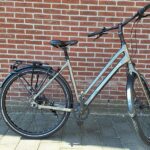 Liv Allure N7 Beltdrive Large Zilver