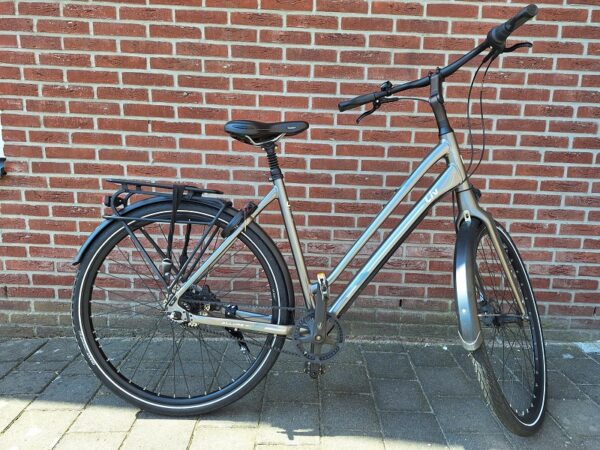 Liv Allure N7 Beltdrive Large Zilver